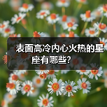 表面高冷内心火热的星座有哪些?(图4) 表面高冷内心火热的星座有哪些?(图4)