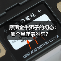 摩羯金牛狮子的初恋:哪个星座最难忘?(图3) 摩羯金牛狮子的初恋:哪个星座最难忘?(图3)