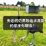 失恋后仍勇敢追求真爱的星座有哪些?(图2) 失恋后仍勇敢追求真爱的星座有哪些?(图2)
