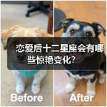 恋爱后十二星座会有哪些惊艳变化？（图1）