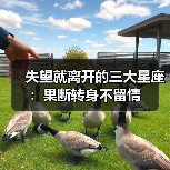 失望就离开的三大星座:果断转身不留情(图1) 失望就离开的三大星座:果断转身不留情(图1)