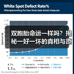 双胞胎命运一样吗?揭秘一好一坏的真相与原因(图2) 双胞胎命运一样吗?揭秘一好一坏的真相与原因(图2)