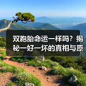 双胞胎命运一样吗?揭秘一好一坏的真相与原因(图4) 双胞胎命运一样吗?揭秘一好一坏的真相与原因(图4)