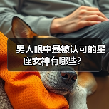 男人眼中最被认可的星座女神有哪些?(图1) 男人眼中最被认可的星座女神有哪些?(图1)
