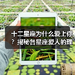 十二星座为什么爱上你?揭秘各星座爱人的理由(图4) 十二星座为什么爱上你?揭秘各星座爱人的理由(图4)