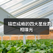 暗恋成瘾的四大星座真相曝光(图4) 暗恋成瘾的四大星座真相曝光(图4)