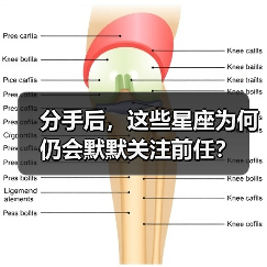 分手后，这些星座为何仍会默默关注前任？（图4）