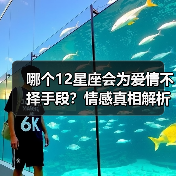 哪个12星座会为爱情不择手段？情感真相解析（图4）