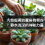 内敛低调的星座有哪些?静水流深的神秘力量(图1) 内敛低调的星座有哪些?静水流深的神秘力量(图1)