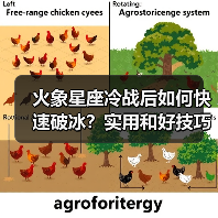 火象星座冷战后如何快速破冰?实用和好技巧(图1) 火象星座冷战后如何快速破冰?实用和好技巧(图1)
