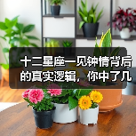 十二星座一见钟情背后的真实逻辑,你中了几条?(图3) 十二星座一见钟情背后的真实逻辑,你中了几条?(图3)