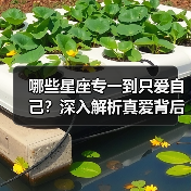 哪些星座专一到只爱自己？深入解析真爱背后的生存逻辑（图4）