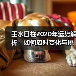 壬水日柱2020年运势解析：如何应对变化与挑战？（图2）