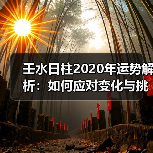 壬水日柱2020年运势解析：如何应对变化与挑战？（图3）