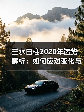 壬水日柱2020年运势解析：如何应对变化与挑战？（图4）