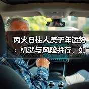 丙火日柱人庚子年运势:机遇与风险并存,如何把握?(图3) 丙火日柱人庚子年运势:机遇与风险并存,如何把握?(图3)