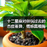 十二星座对伴侣过去的态度差异，情感真相揭秘！（图1）