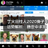 丁火日柱人2020庚子年运势解析:稳定中求发展,考验与机遇并存(图3) 丁火日柱人2020庚子年运势解析:稳定中求发展,考验与机遇并存(图3)