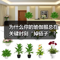 为什么你的瑜伽服总在关键时刻“掉链子”?换个思路,找到那个不将就的小众答案(图4) 为什么你的瑜伽服总在关键时刻“掉链子”?换个思路,找到那个不将就的小众答案(图4)