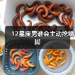 12星座男谁会主动挖墙脚（图3）