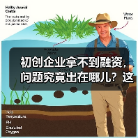 初创企业拿不到融资，问题究竟出在哪儿？这份复盘指南帮你找到答案（图2）
