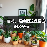 真诚，是挽回这些星座的必杀技！（图3）