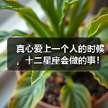 真心爱上一个人的时候，十二星座会做的事！（图3）