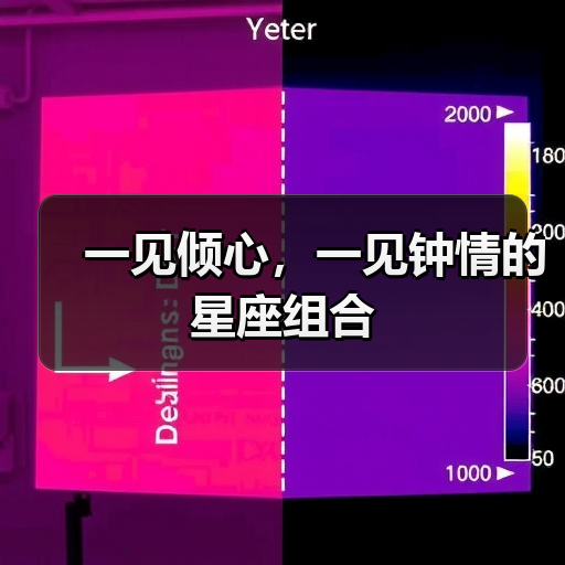一见倾心,一见钟情的星座组合(图2) 一见倾心,一见钟情的星座组合(图2)