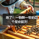 绝了!一物降一物的四个星座配对(图3) 绝了!一物降一物的四个星座配对(图3)