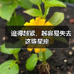 追得越紧,越容易失去这些星座(图1) 追得越紧,越容易失去这些星座(图1)