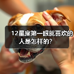 12星座第一眼就喜欢的人是怎样的？（图3）