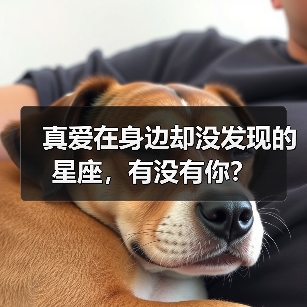 真爱在身边却没发现的星座,有没有你?(图3) 真爱在身边却没发现的星座,有没有你?(图3)