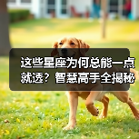 这些星座为何总能一点就透?智慧高手全揭秘(图2) 这些星座为何总能一点就透?智慧高手全揭秘(图2)