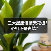 三大星座演技天花板！心机还是真情？
