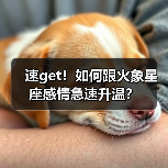 速get!如何跟火象星座感情急速升温?(图3) 速get!如何跟火象星座感情急速升温?(图3)