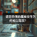 坚定自信的星座女生为何难以驾驭？