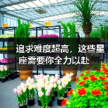 追求难度超高，这些星座需要你全力以赴（图4）