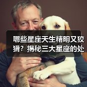 哪些星座天生精明又狡猾？揭秘三大星座的处世之道