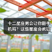 十二星座男会让你翻手机吗?这些星座会疯狂试探(图3) 十二星座男会让你翻手机吗?这些星座会疯狂试探(图3)