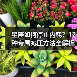 星座如何停止内耗?12种专属减压方法全解析(图3) 星座如何停止内耗?12种专属减压方法全解析(图3)