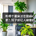 和哪个星座谈恋爱最心累?双子座让人疲惫的真相(图3) 和哪个星座谈恋爱最心累?双子座让人疲惫的真相(图3)