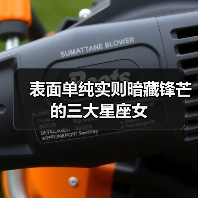 表面单纯实则暗藏锋芒的三大星座女(图4) 表面单纯实则暗藏锋芒的三大星座女(图4)