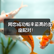 网恋成功概率最高的星座配对!(图3) 网恋成功概率最高的星座配对!(图3)