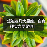 想追这几大星座,自身硬实力要足够!(图1) 想追这几大星座,自身硬实力要足够!(图1)