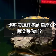 堪称灵魂伴侣的星座CP,有没有你们?(图1) 堪称灵魂伴侣的星座CP,有没有你们?(图1)