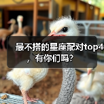 最不搭的星座配对top4,有你们吗?(图2) 最不搭的星座配对top4,有你们吗?(图2)