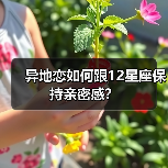 异地恋如何跟12星座保持亲密感？（图2）