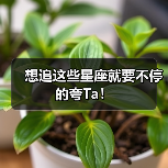 想追这些星座就要不停的夸Ta!(图1) 想追这些星座就要不停的夸Ta!(图1)