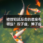 被冒犯就反击的星座有哪些？双子座、狮子座等当场反击