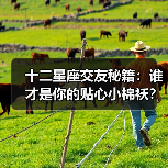 十二星座交友秘籍:谁才是你的贴心小棉袄?(图2) 十二星座交友秘籍:谁才是你的贴心小棉袄?(图2)